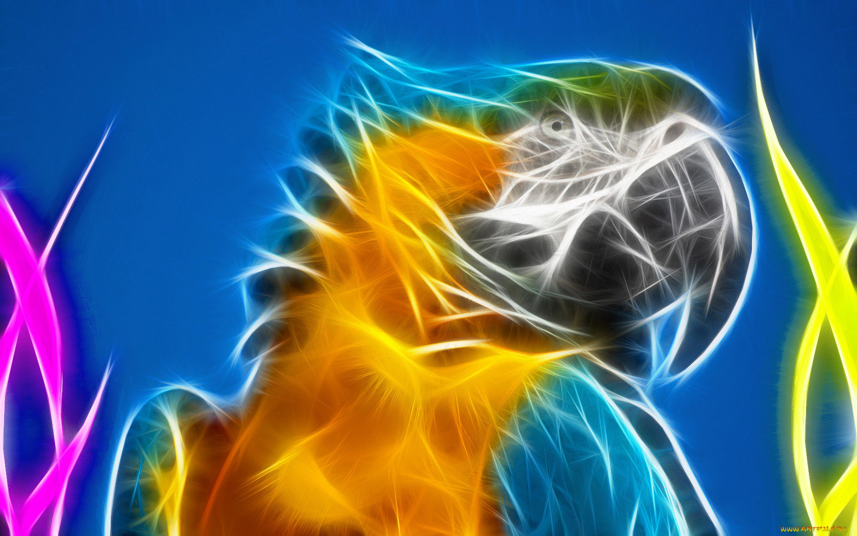 3, , animals, , 
